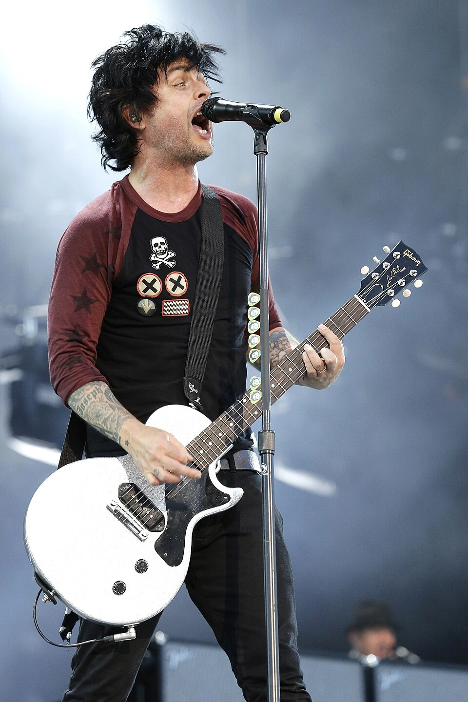 Billie Joe Net Worth: Range, Income Streams, and Proof